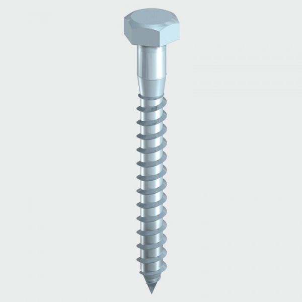 Coachscrew M10